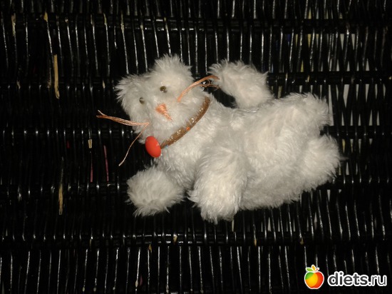 48 фото: зайка