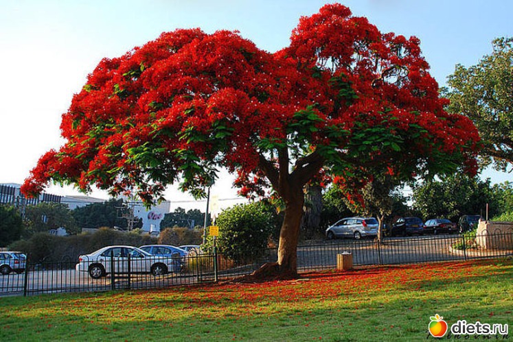 3 ����: �� ������� �������� ������, � ������ ���������� ��� ������ �������. (�.�. �������)