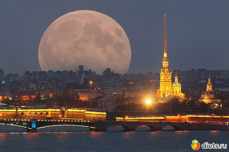 7 ����: �� ������� �������� ������, � ������ ���������� ��� ������ �������. (�.�. �������)