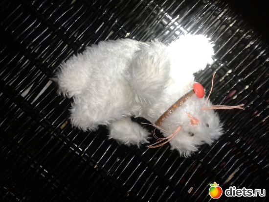 51 фото: зайка