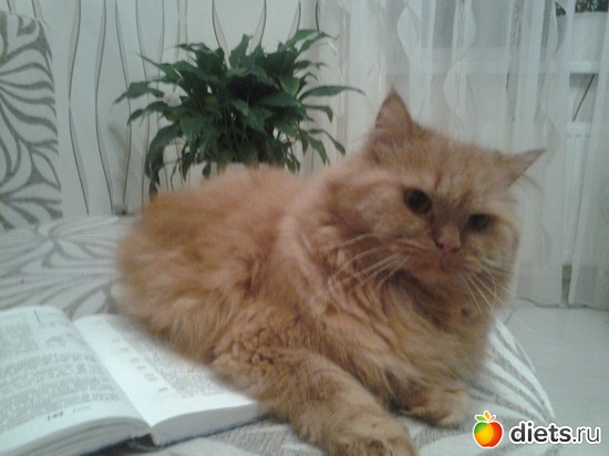 1 ����: ����