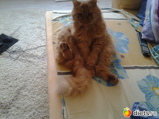 2 ����: ����