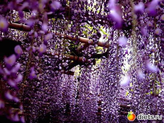 5 фото: картинки разные