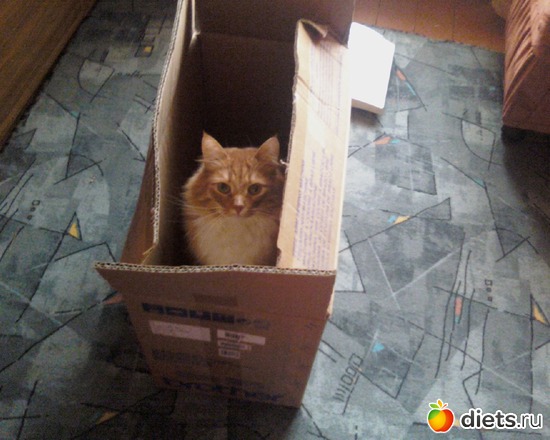 9 фото: Кеша