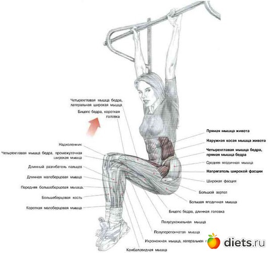 42 ����: ��������