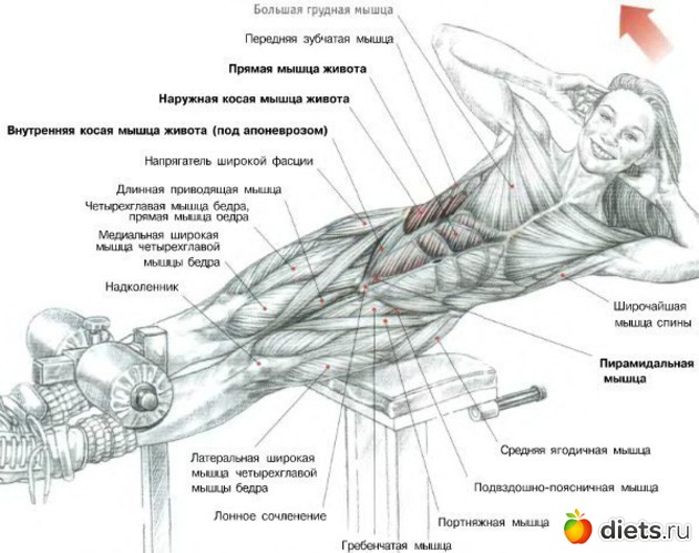 45 ����: ��������