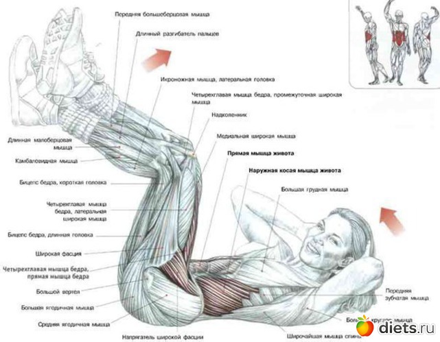 46 ����: ��������