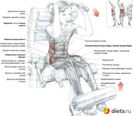 48 ����: ��������