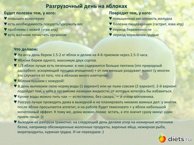 6 ����: ����� � ���������