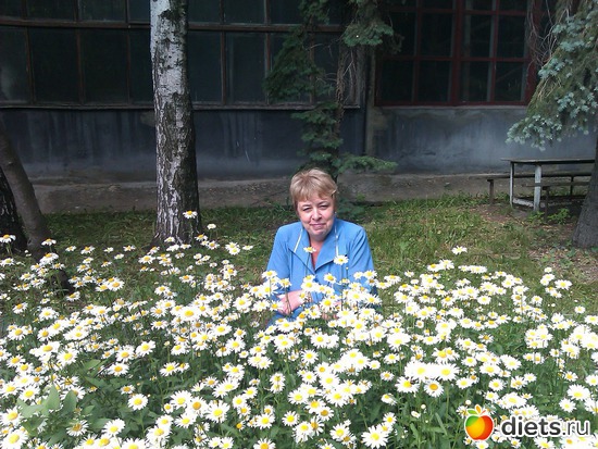 6 ����: ��� ������.