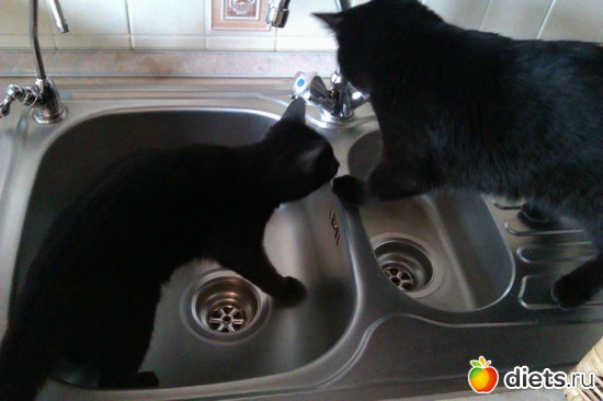 ������� ������ � �����������))), ������: �������