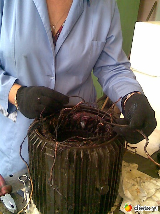 3 ����: ��� ������.