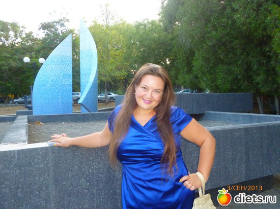 �������� 2013�. - 88 ��., ������: �� 80