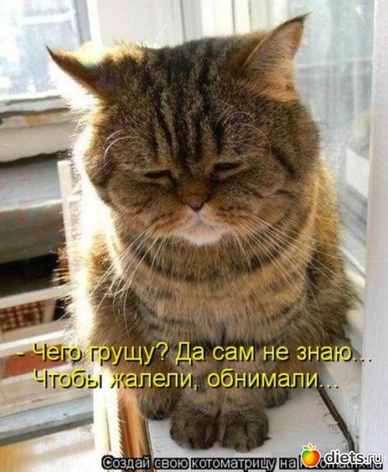 3 ����: ������