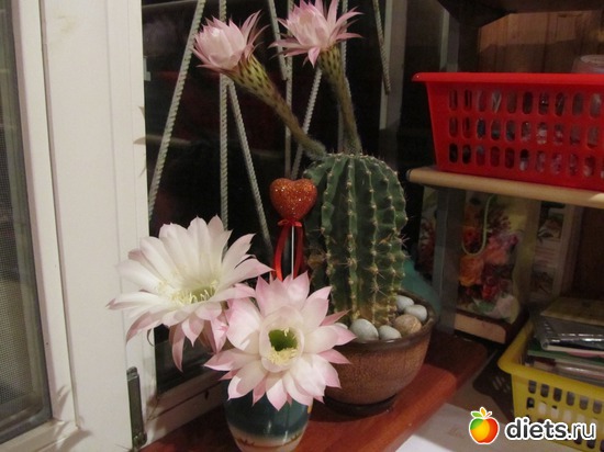 6 ����: ��������� � �����.