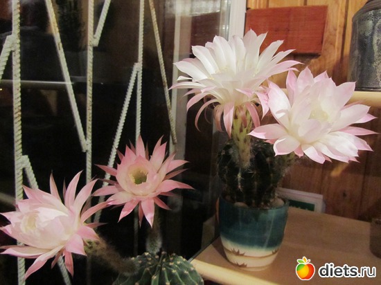 7 ����: ��������� � �����.