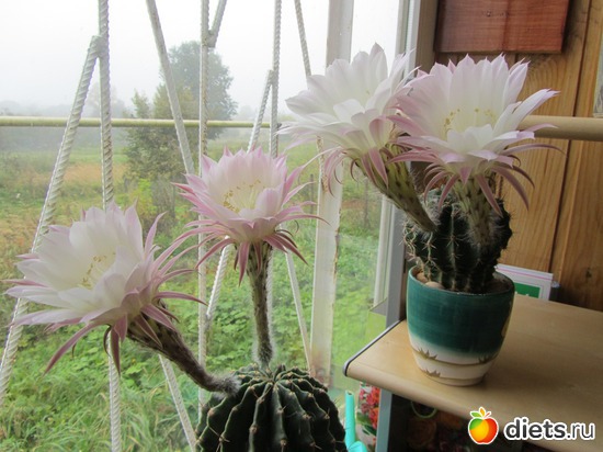 8 ����: ��������� � �����.