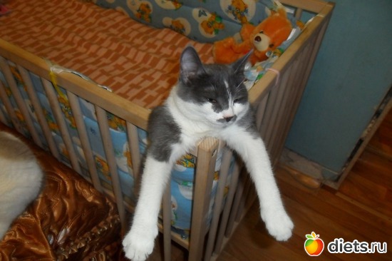 Мышка, альбом: Это я