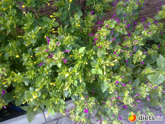 15 фото: 2013 море