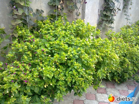 17 фото: 2013 море