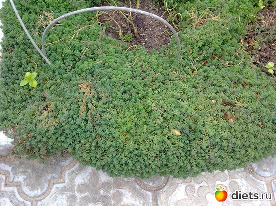 21 фото: 2013 море