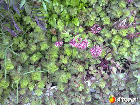 22 фото: 2013 море