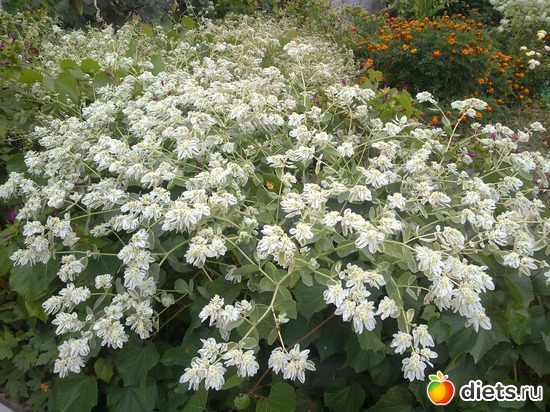 23 фото: 2013 море