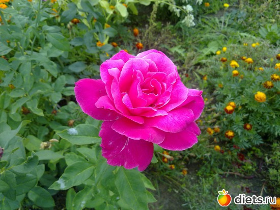 24 фото: 2013 море