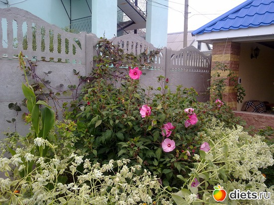 26 фото: 2013 море