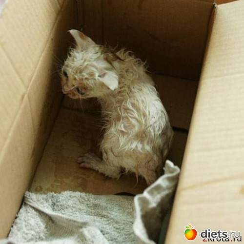 1 ����: �������� � �� �����