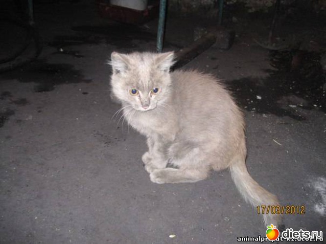 2 ����: �������� � �� �����