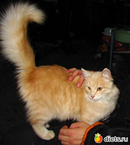 4 ����: �������� � �� �����