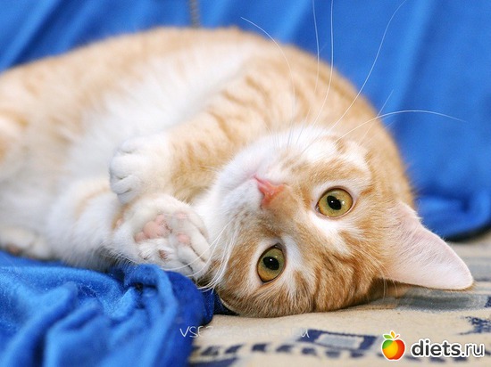 5 фото: Грустное и не очень