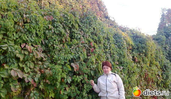 29 фото: 2013 море