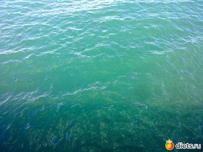 27 фото: 2013 море