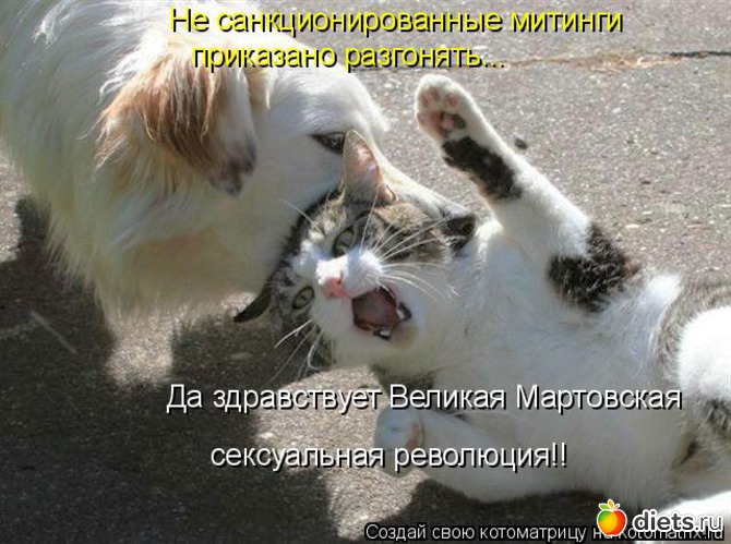 27 ����: ��2