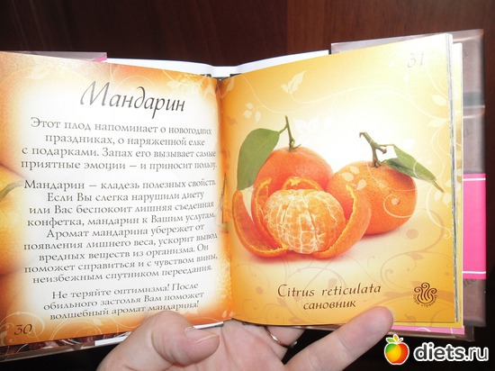 43 фото: Корзина разного