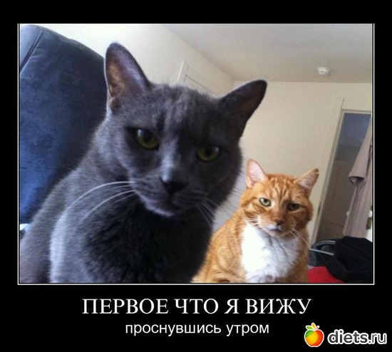 31 ����: �������