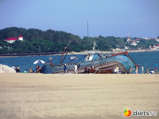 12 ����: ��������-2013