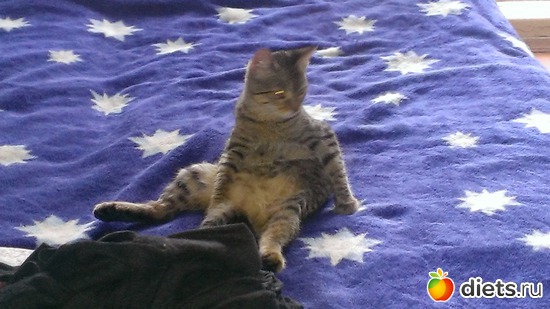 3 ����: ��� ����� � ������