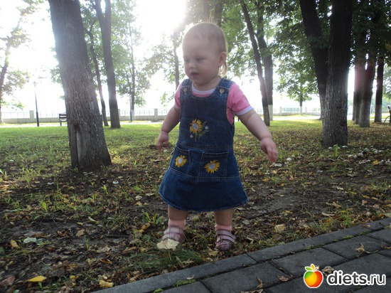 1 ����: ����