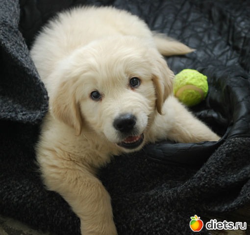 �� ��� ���� ��������....