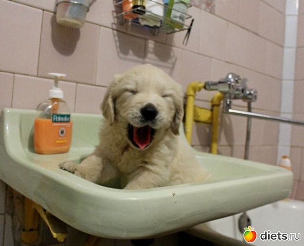 2 ����: �� ��� ���� ��������....