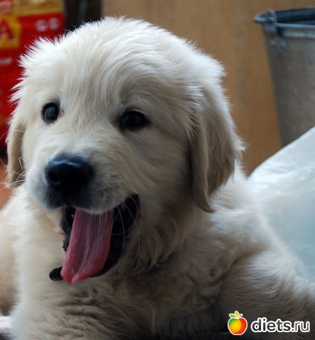 �� ��� ���� ��������....