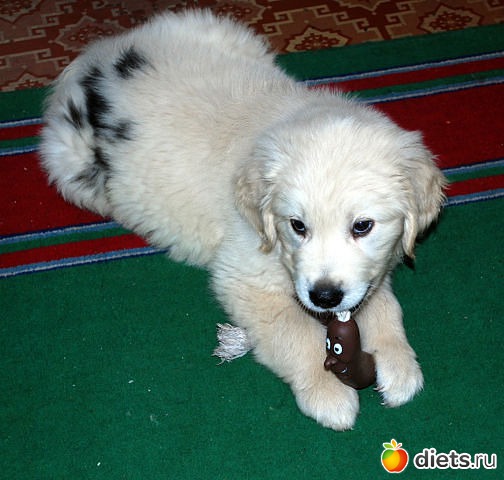 �� ��� ���� ��������....