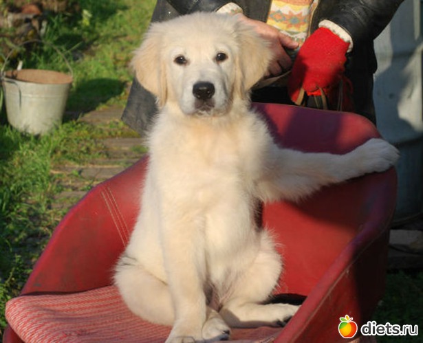 5 ����: �� ��� ���� ��������....