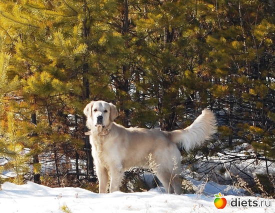 6 ����: �� ��� ���� ��������....