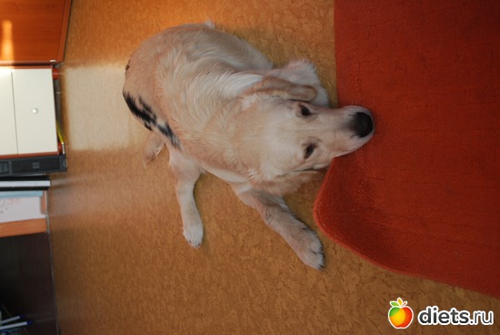 7 ����: �� ��� ���� ��������....