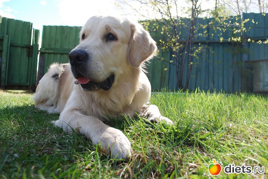 ����� ������� � �����, ����� ����!)))) ��� ))), ������: �� ��� ���� ��������....