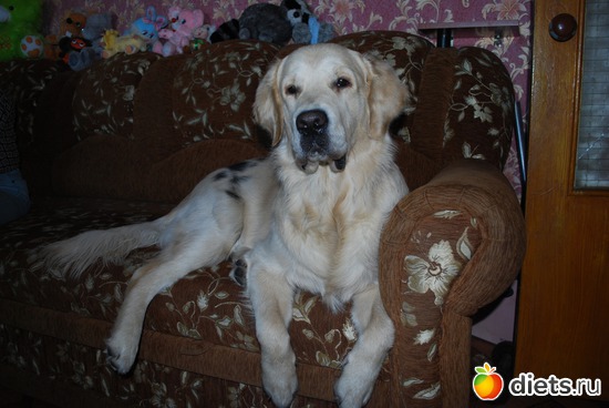 9 ����: �� ��� ���� ��������....